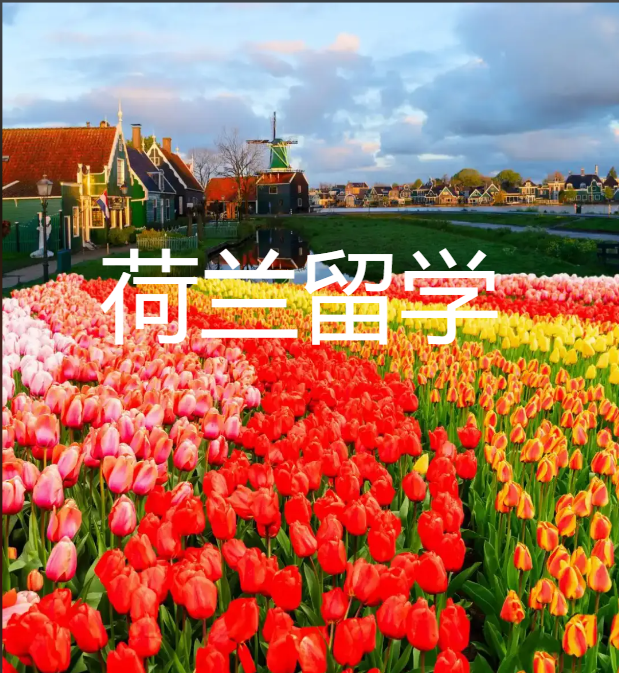 荷兰留学