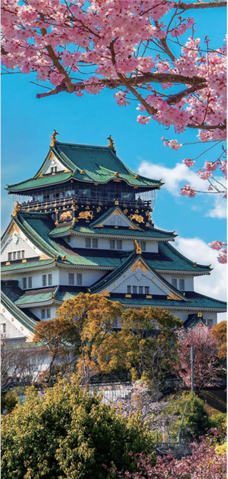 研学项目|日本东京研学营：7天遇见未来，在樱花与动漫之国收获成长