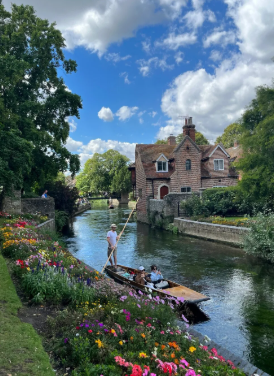 新西兰留学|别再卷英美了！2025年留学生的宝藏国家、聪明人的选择：新西兰！